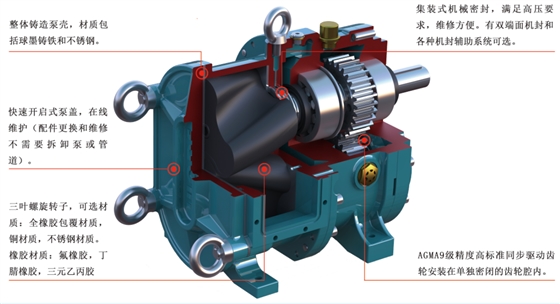 转子泵结构