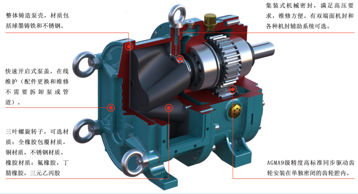 转子泵结构